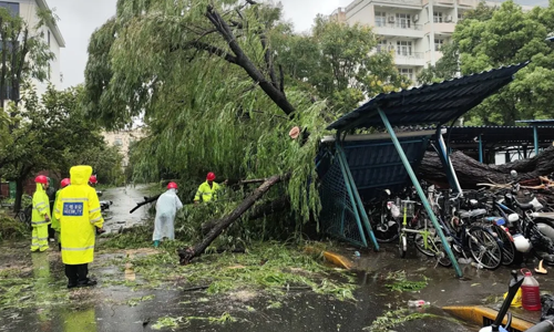 抗击“贝碧嘉”台风 三毛保安最强“结界”