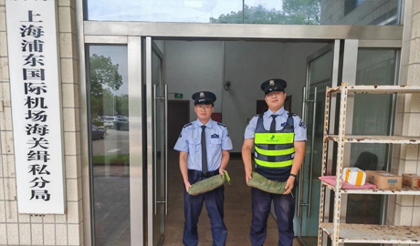 【以身为灯 守一方平安】三毛保安抗击“竹节草”实录